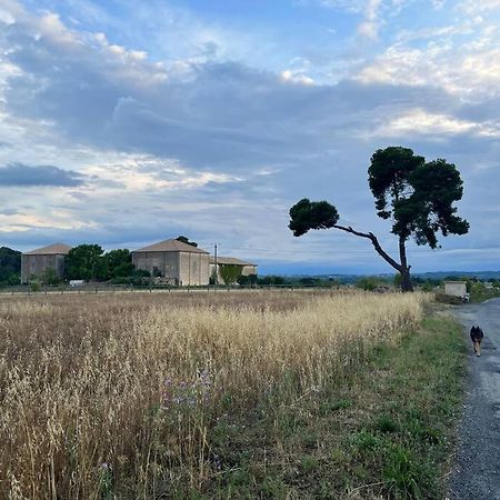 Charming Village House With Roof Top Terrace! Thezan-les-Beziers エクステリア 写真